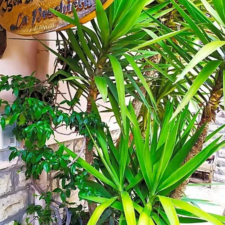 Bed & Breakfast La Peschiera